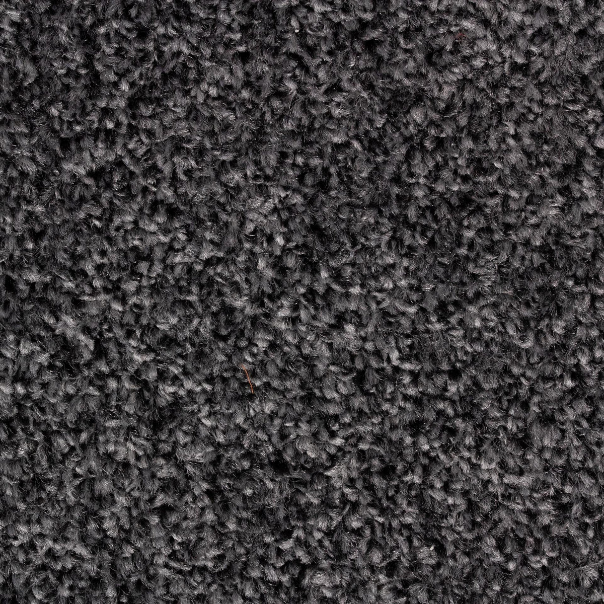 Cozy Alpha – Carbon (77)
