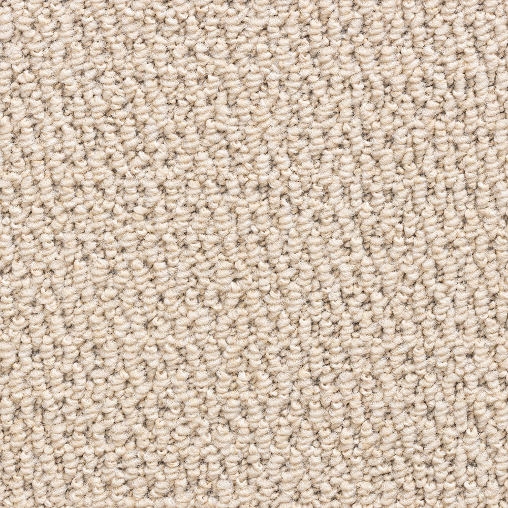 Cozy Willow – Cream