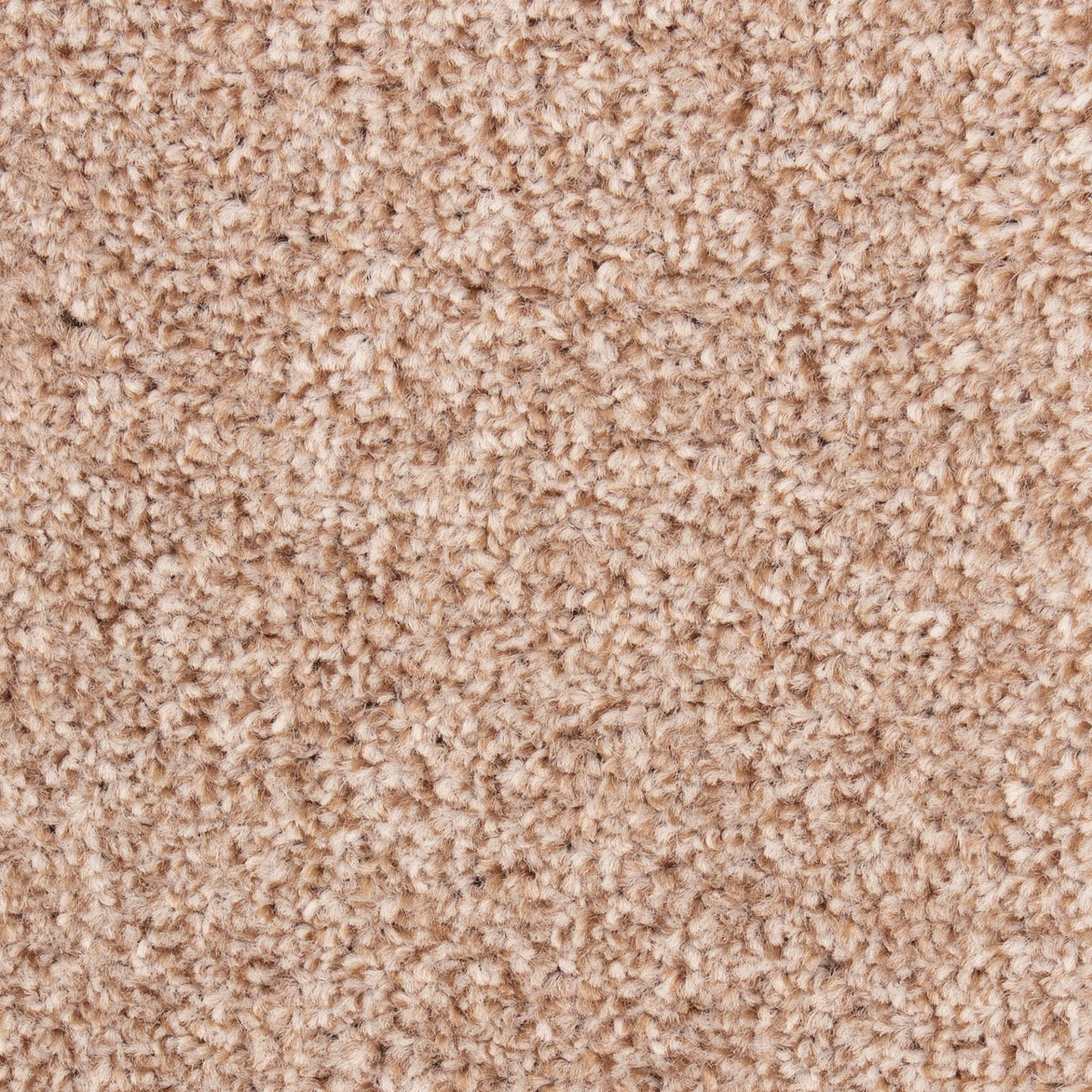 Cozy Alpha – Pebble (160)