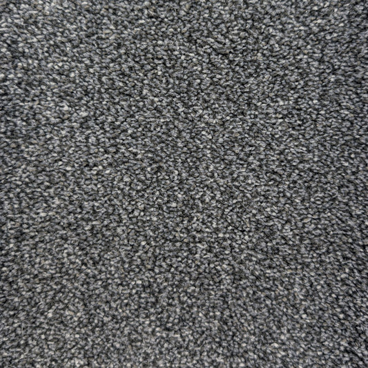 Cozy Belmont – Carbon