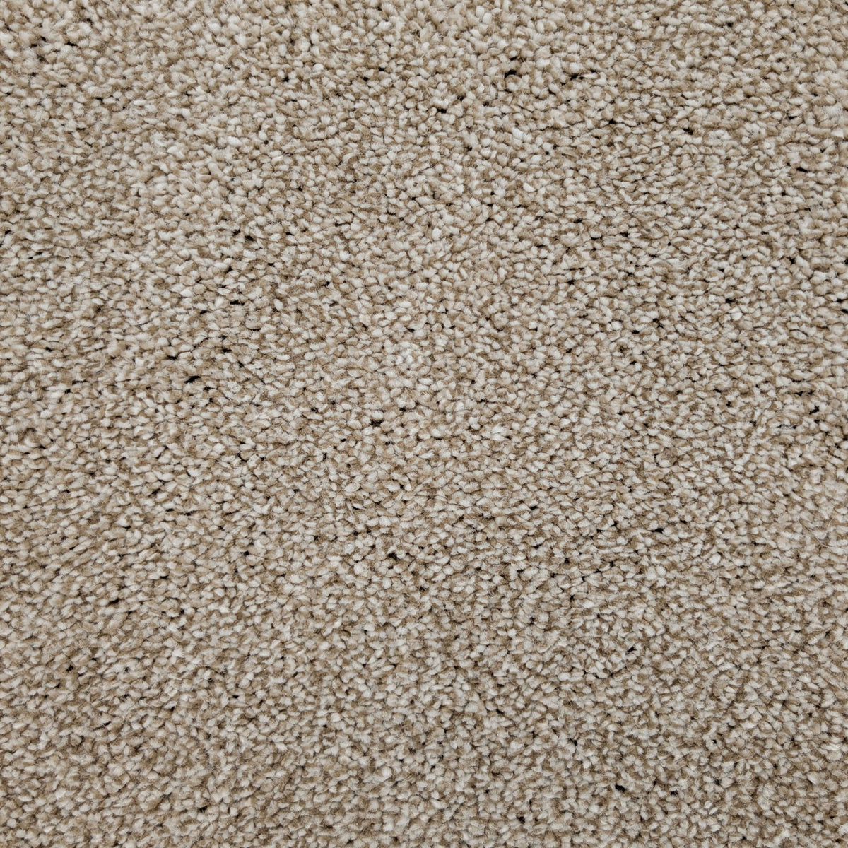 Cozy Belmont – Desert Sand