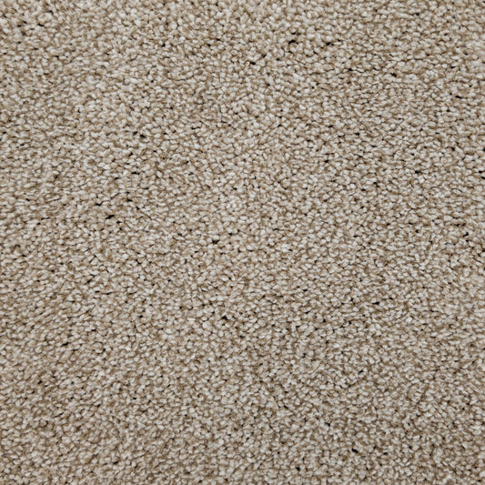 Cozy Belmont – Desert Sand