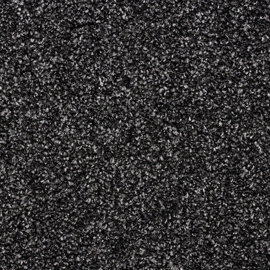 Cozy Rowan – Noir