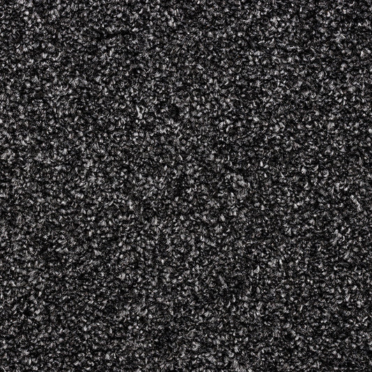 Cozy Rowan – Noir