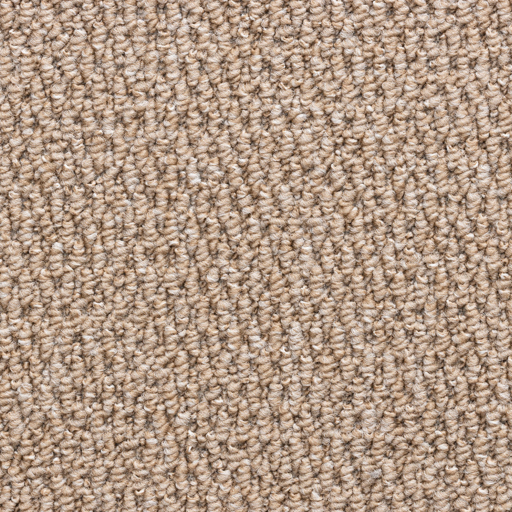 Cozy Willow – Desert