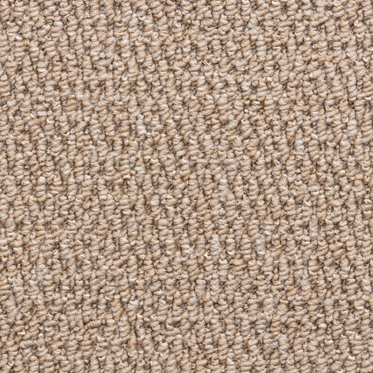 Cozy Willow – Desert