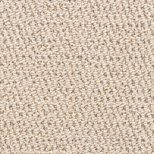 Cozy Willow – Cream