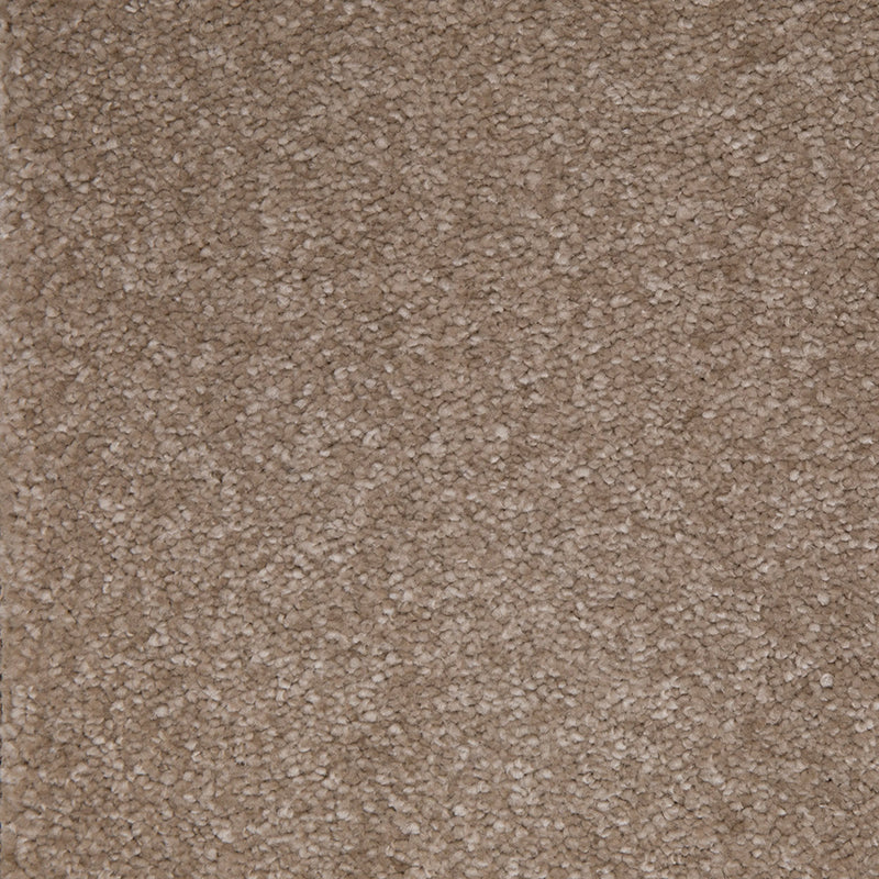 Homestead – Festival